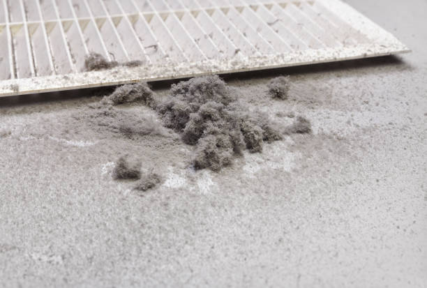 Best Local Air Duct Cleaning Services  in Puget Island, WA