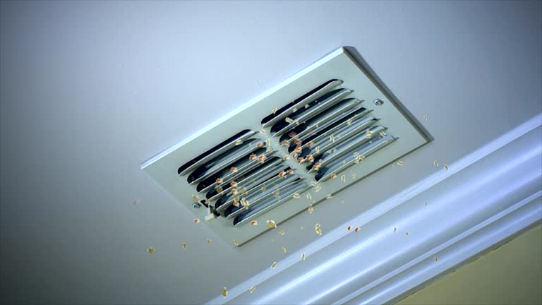 Best Affordable HVAC Duct Cleaning  in Puget Island, WA