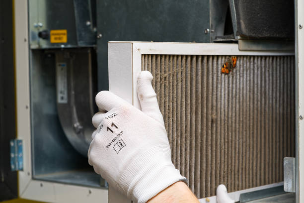 Best Dryer Vent Cleaning Services  in Puget Island, WA